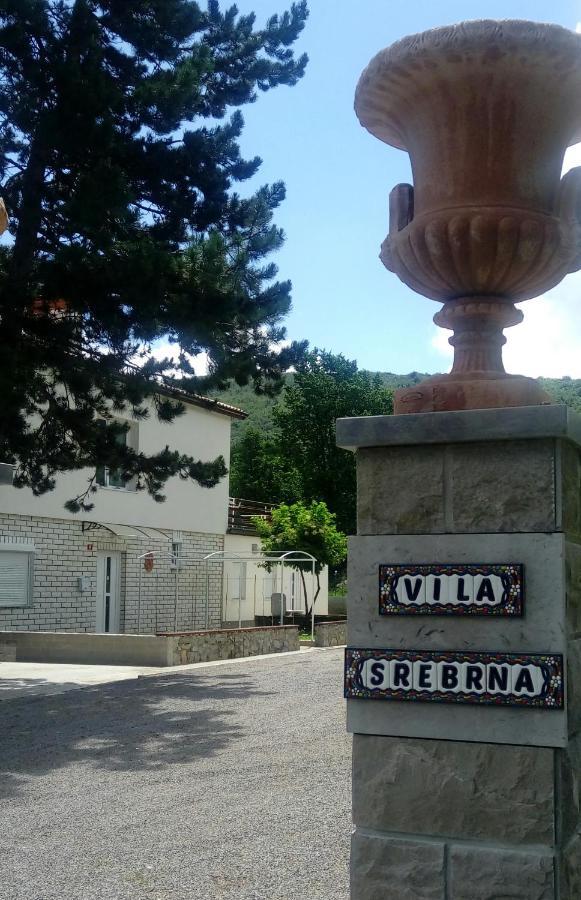 Divaca, Vila Srebrna Eksteriør bilde